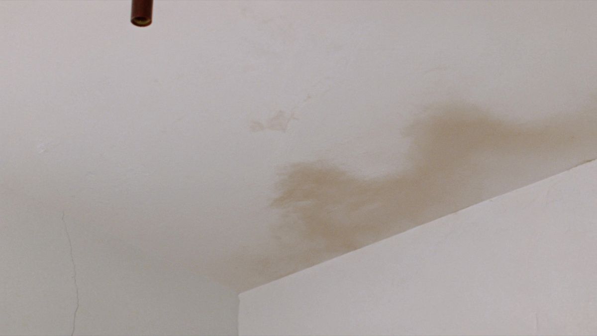 Mancha de infiltração amarelada com pintura descascando no teto de um apartamento, sinal de umidade vinda de cima